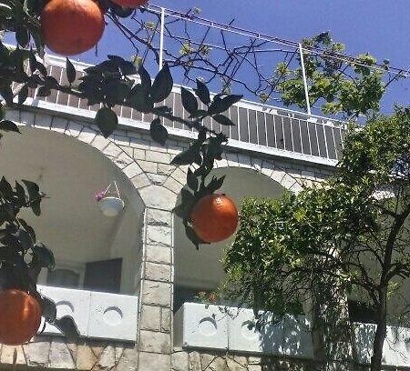 House Orange Apartments Herceg Novi Zewnętrze zdjęcie