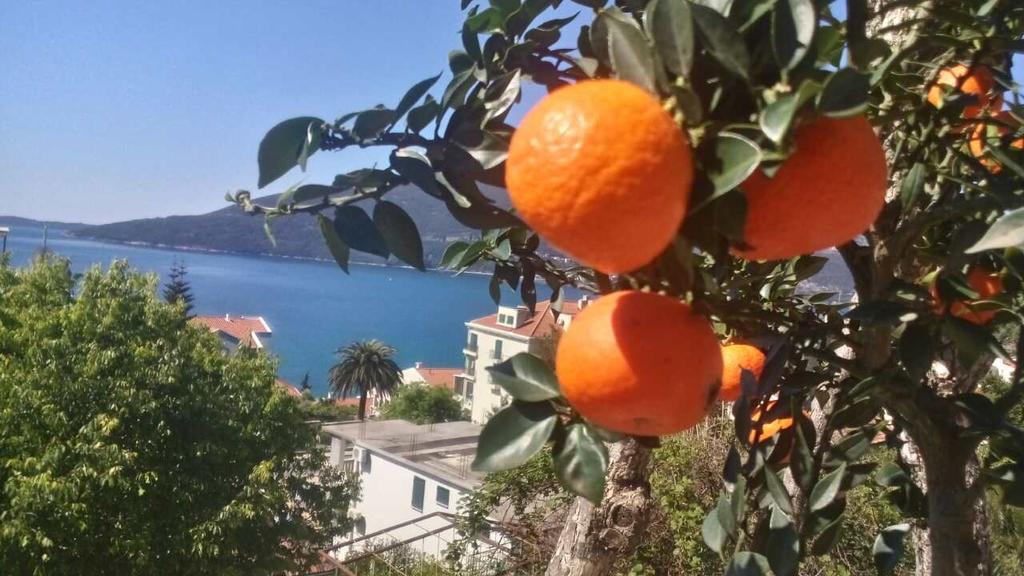 House Orange Apartments Herceg Novi Zewnętrze zdjęcie