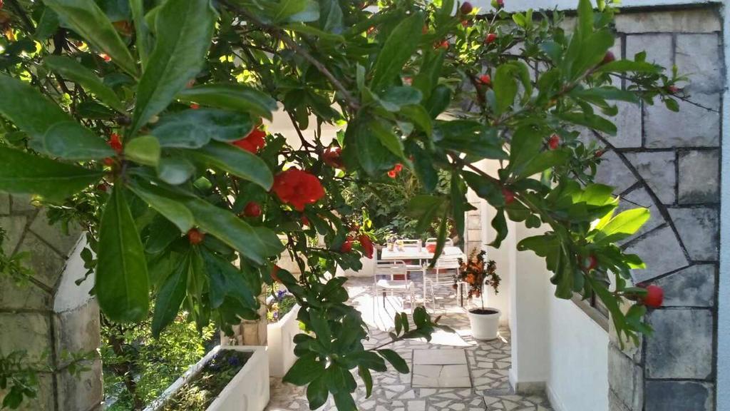 House Orange Apartments Herceg Novi Zewnętrze zdjęcie