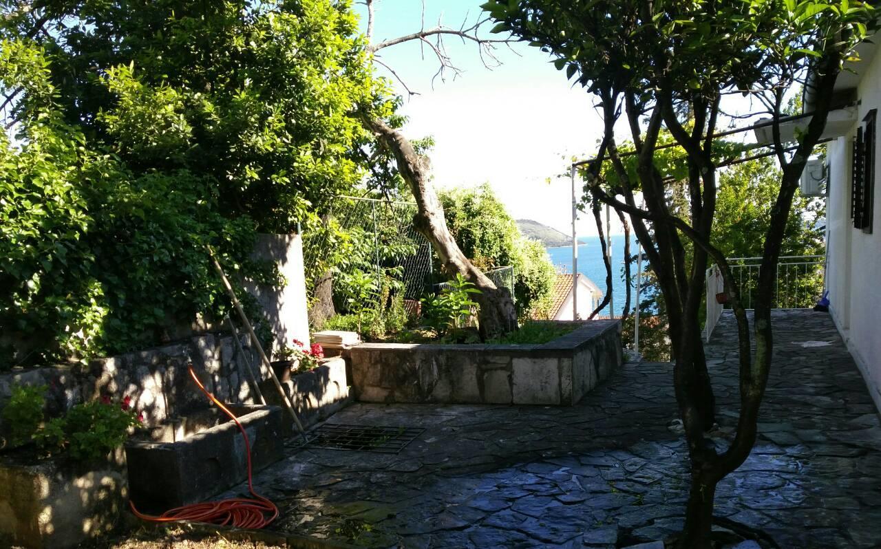 House Orange Apartments Herceg Novi Zewnętrze zdjęcie